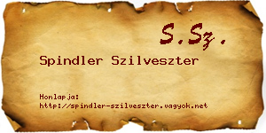 Spindler Szilveszter névjegykártya